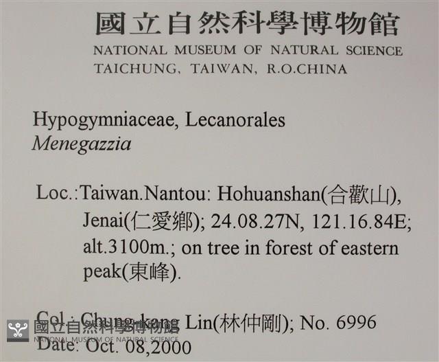 登錄號:L00002520藏品圖，第2張