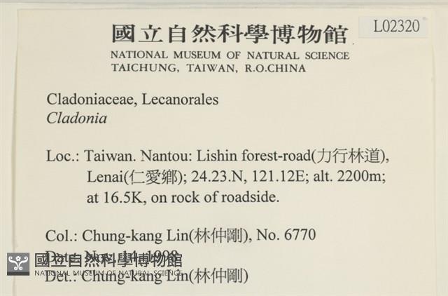 登錄號:L00002320藏品圖，第2張