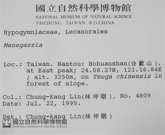 登錄號:L00001320藏品圖，第2張