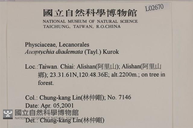登錄號:L00002670藏品圖，第2張
