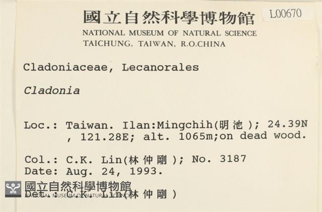 登錄號:L00000670藏品圖，第2張