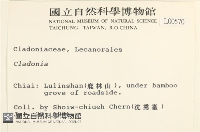 登錄號:L00000570藏品圖，第2張