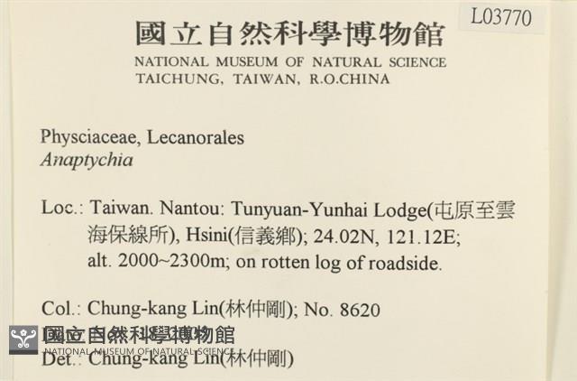 登錄號:L00003770藏品圖，第2張