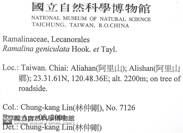 登錄號:L00002650藏品圖，第2張