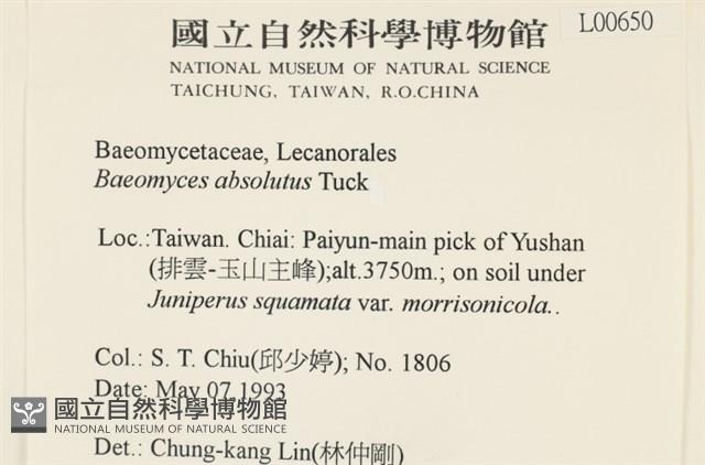 登錄號:L00000650藏品圖，第2張