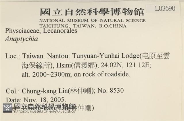 登錄號:L00003690藏品圖，第2張
