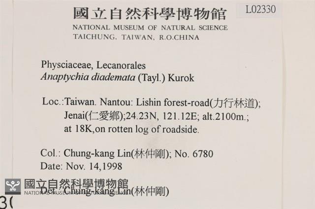 登錄號:L00002330藏品圖，第2張