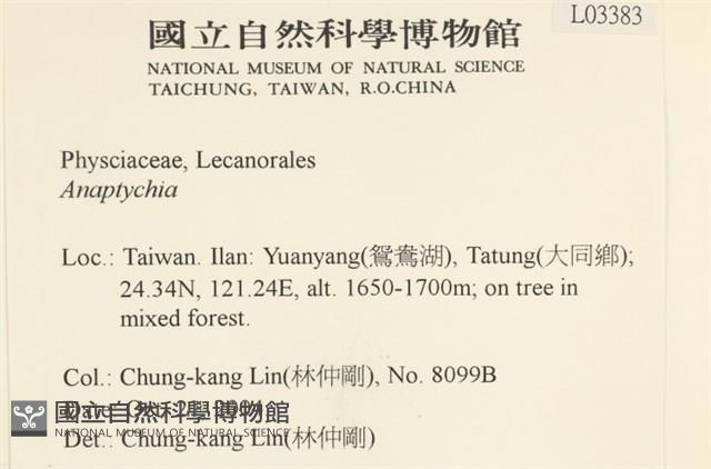 登錄號:L00003383藏品圖，第2張