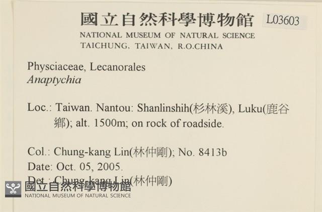 登錄號:L00003603藏品圖，第2張