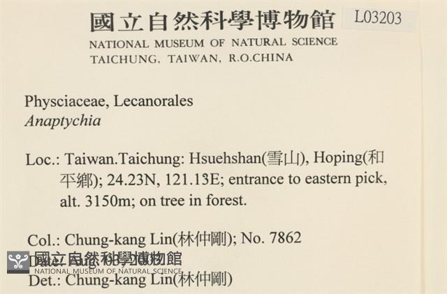 登錄號:L00003203藏品圖，第2張