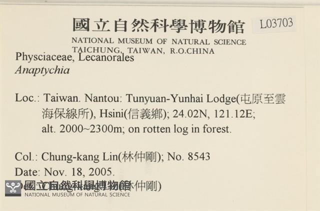 登錄號:L00003703藏品圖，第2張