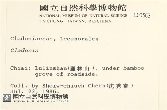 登錄號:L00000563藏品圖，第2張