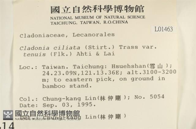 登錄號:L00001463藏品圖，第2張