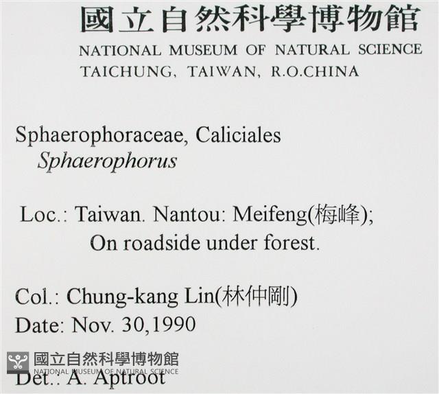 登錄號:L00000363藏品圖，第2張