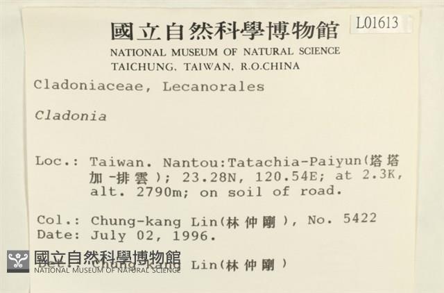 登錄號:L00001613藏品圖，第2張