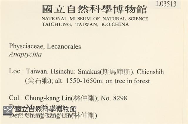 登錄號:L00003513藏品圖，第2張