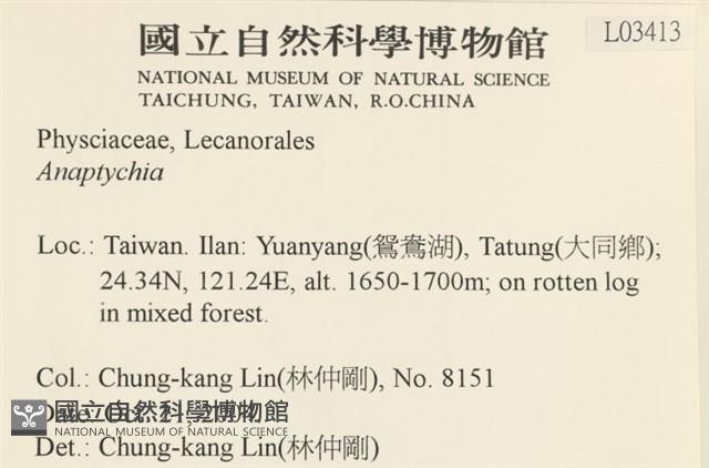 登錄號:L00003413藏品圖，第2張
