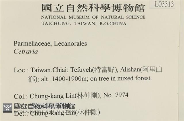 登錄號:L00003313藏品圖，第2張
