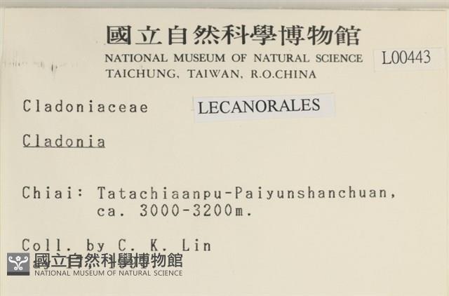 登錄號:L00000443藏品圖，第2張