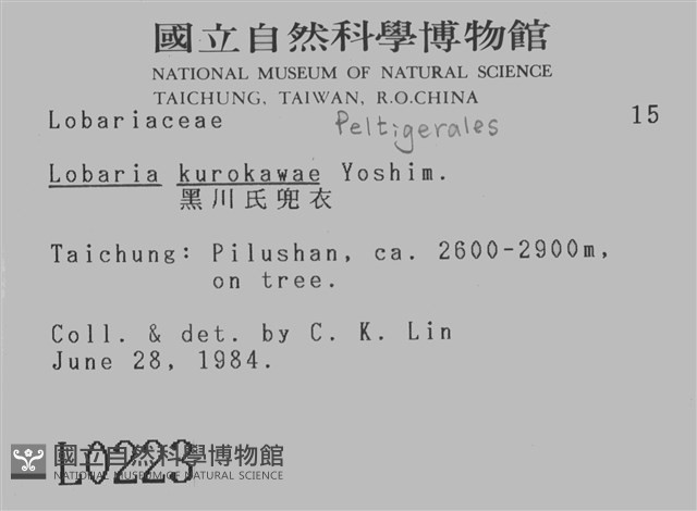 黑川氏兜衣藏品圖，第2張