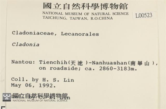 登錄號:L00000523藏品圖，第2張