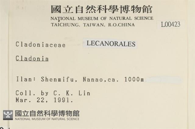 館號:L00000423藏品圖，第2張