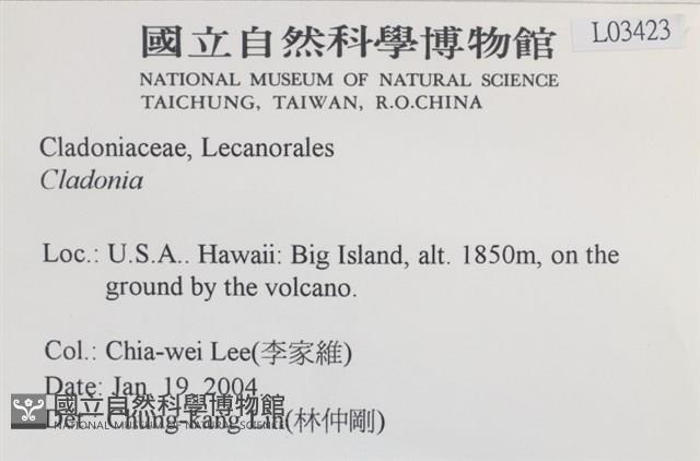 登錄號:L00003423藏品圖，第2張