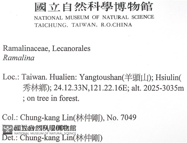 登錄號:L00002573藏品圖，第2張