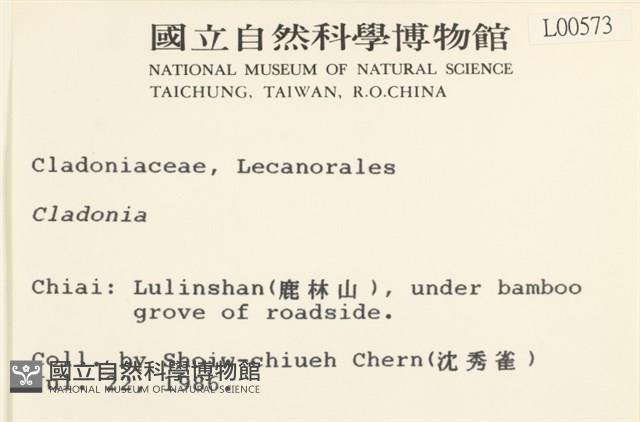 登錄號:L00000573藏品圖，第2張