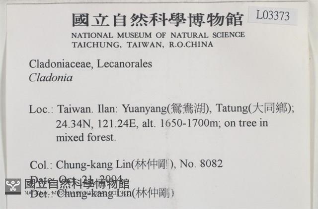 登錄號:L00003373藏品圖，第2張