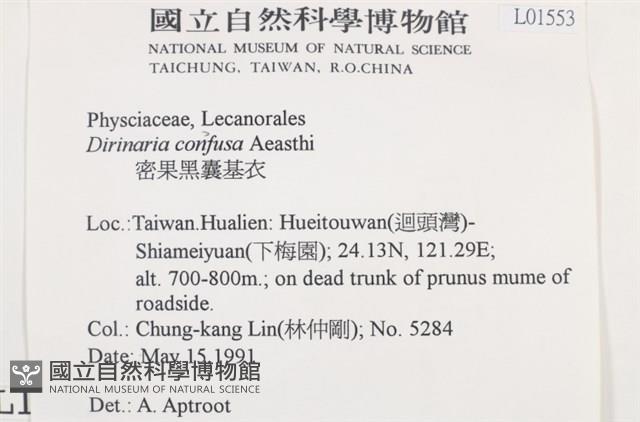 密果黑囊基衣藏品圖，第2張