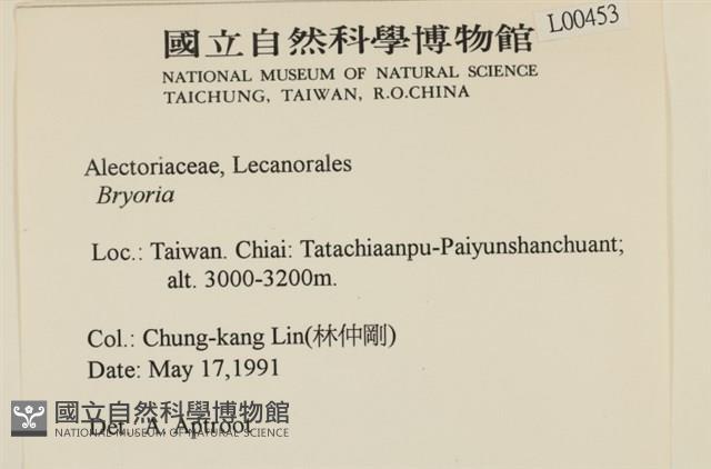 登錄號:L00000453藏品圖，第2張