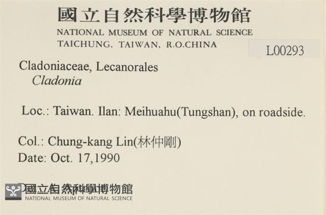 登錄號:L00000293藏品圖，第2張