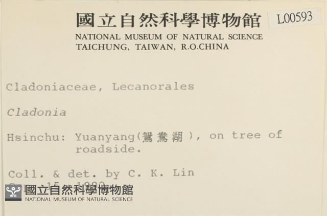 登錄號:L00000593藏品圖，第2張