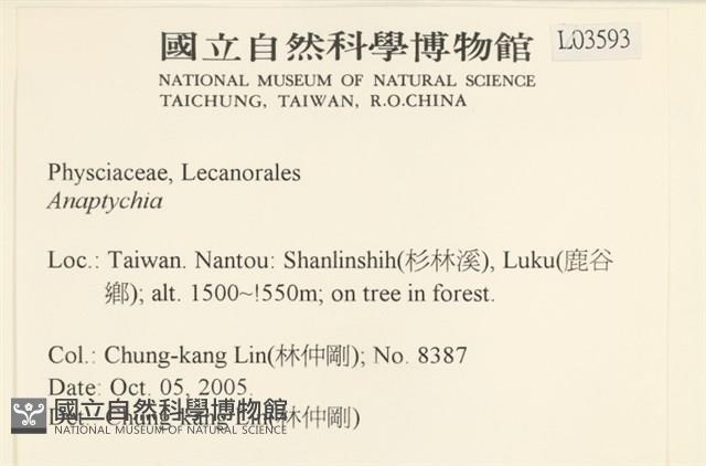 登錄號:L00003593藏品圖，第2張