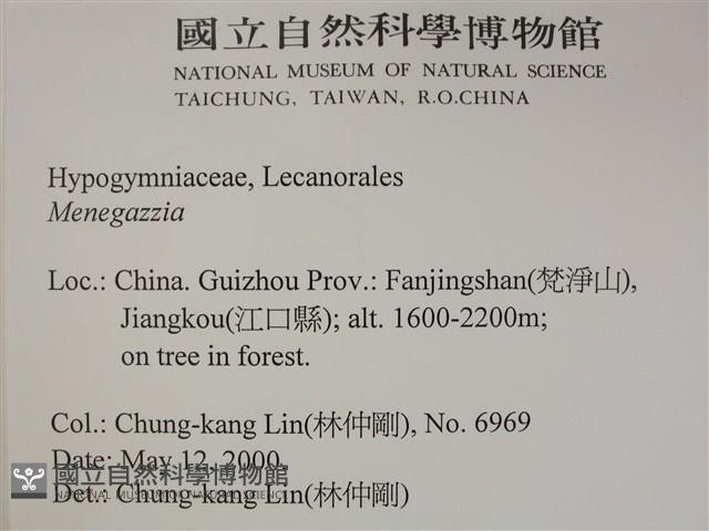 登錄號:L00002493藏品圖，第2張