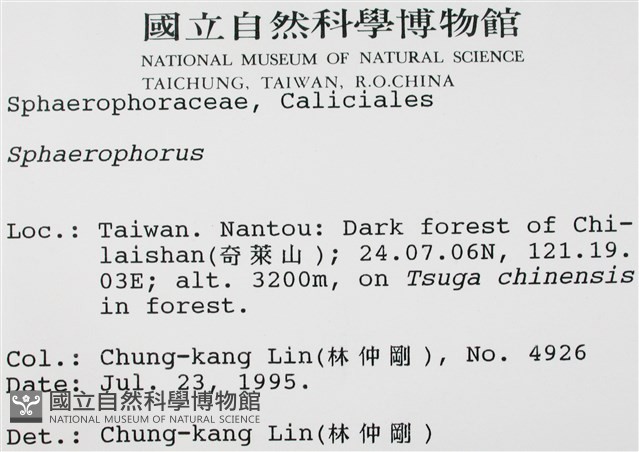 登錄號:L00001393藏品圖，第2張