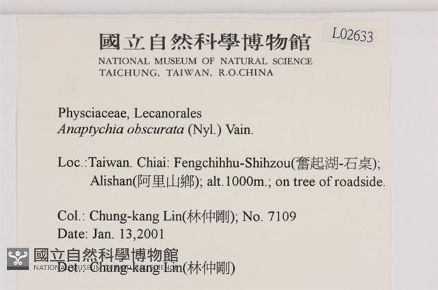 登錄號:L00002633藏品圖，第2張