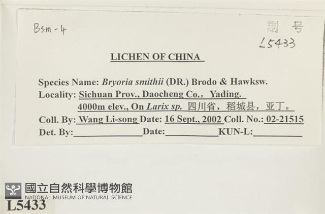 登錄號:L00005433藏品圖，第2張