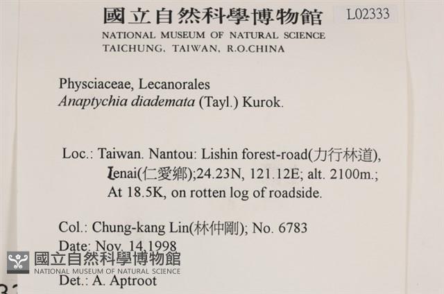 登錄號:L00002333藏品圖，第2張