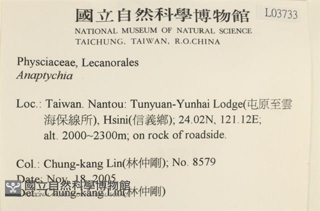 登錄號:L00003733藏品圖，第2張