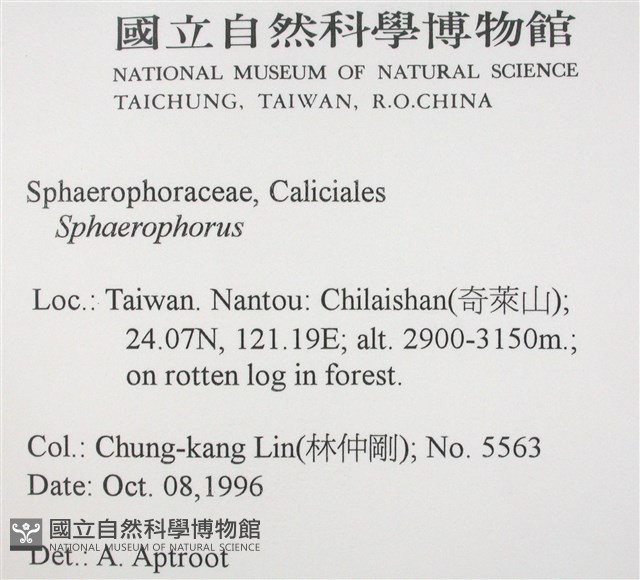 登錄號:L00001668藏品圖，第2張