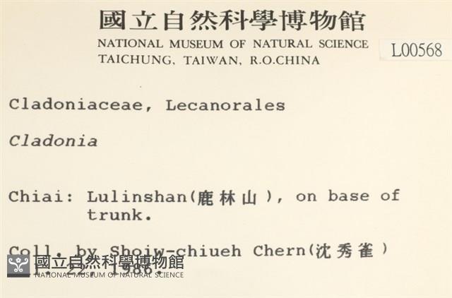 登錄號:L00000568藏品圖，第2張