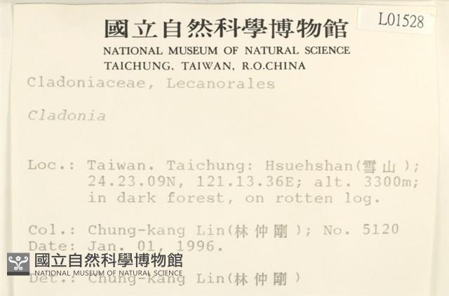 登錄號:L00001528藏品圖，第2張