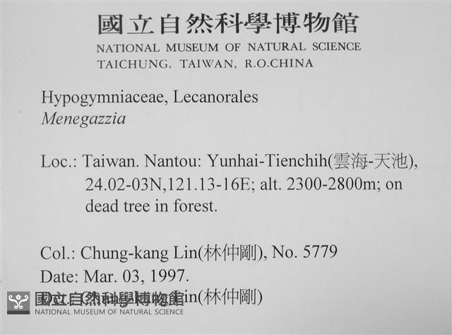 登錄號:L00001798藏品圖，第2張