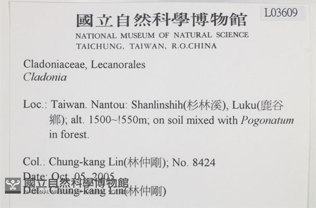 登錄號:L00003609藏品圖，第2張