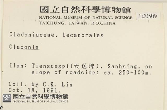 登錄號:L00000509藏品圖，第2張