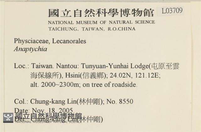 登錄號:L00003709藏品圖，第2張