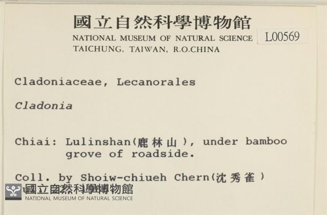 登錄號:L00000569藏品圖，第2張