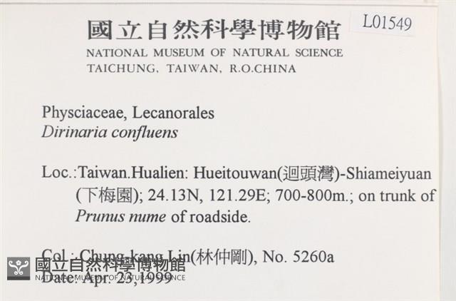 登錄號:L00001549藏品圖，第2張